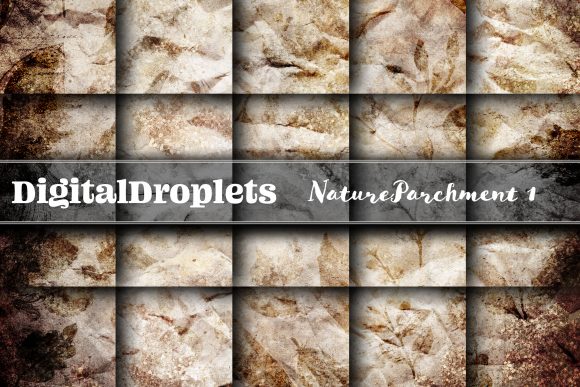 Nature Parchment Vol. 1: Gothic & Vintage Design Textures