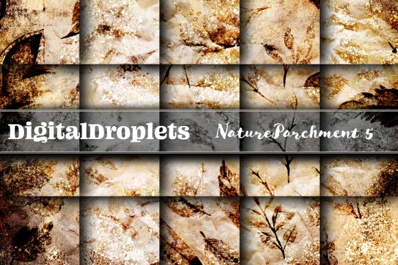 Nature Parchment Vol. 5: A Bold Textured Collection for Designers
